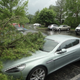 Illustration for article titled Yeah, Thats A Tree On An Aston Martin Rapide
